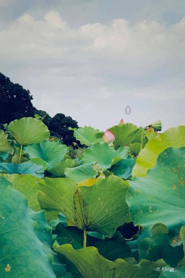 命运之手2