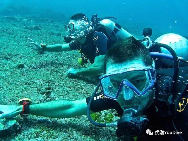 柳下惠男友 我火了游戏画面